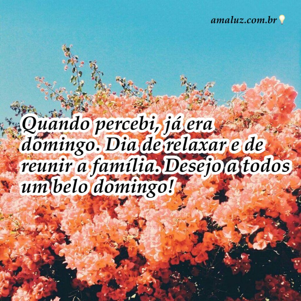 desejo a todos um sábado