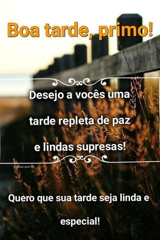 desejo uma boa tarde para primo