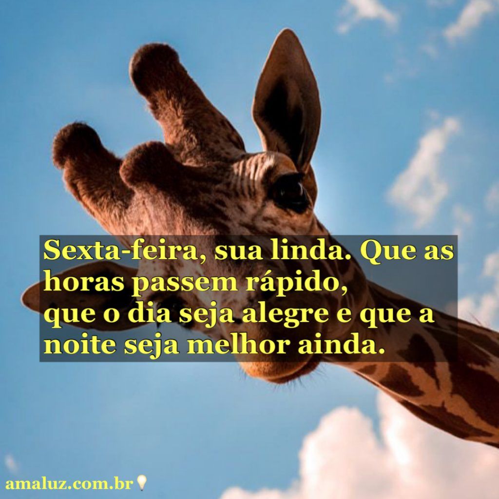 e sexta feira bom dia