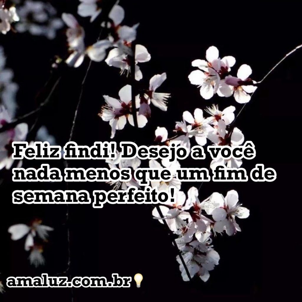 fim de semana perfeita