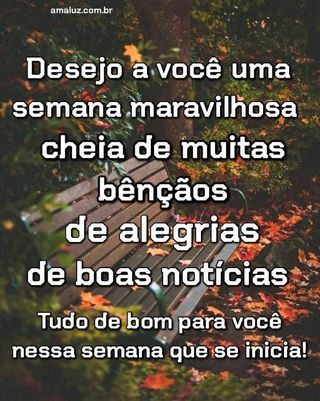frase de ótima semana para whatsapp