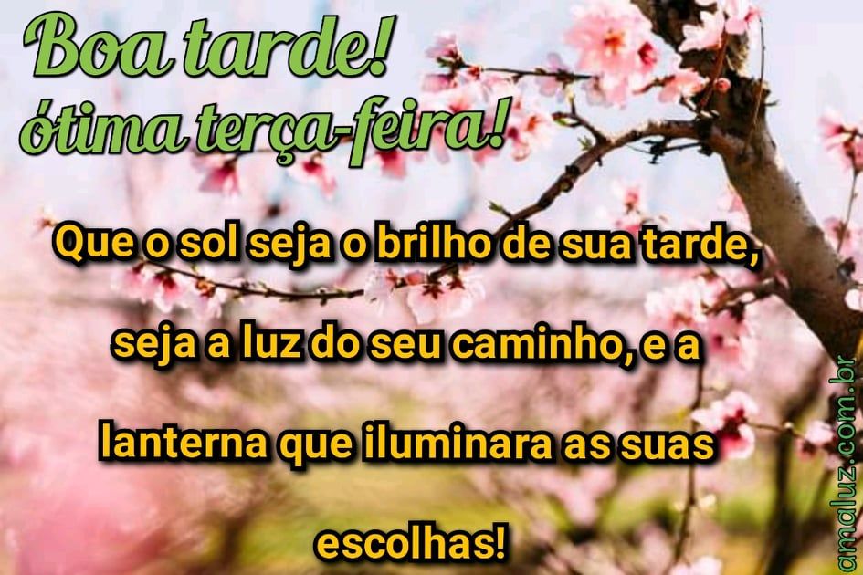 imagem de boa tarde ótima terça feira