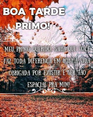 imagem para deseja boa tarde aos primos