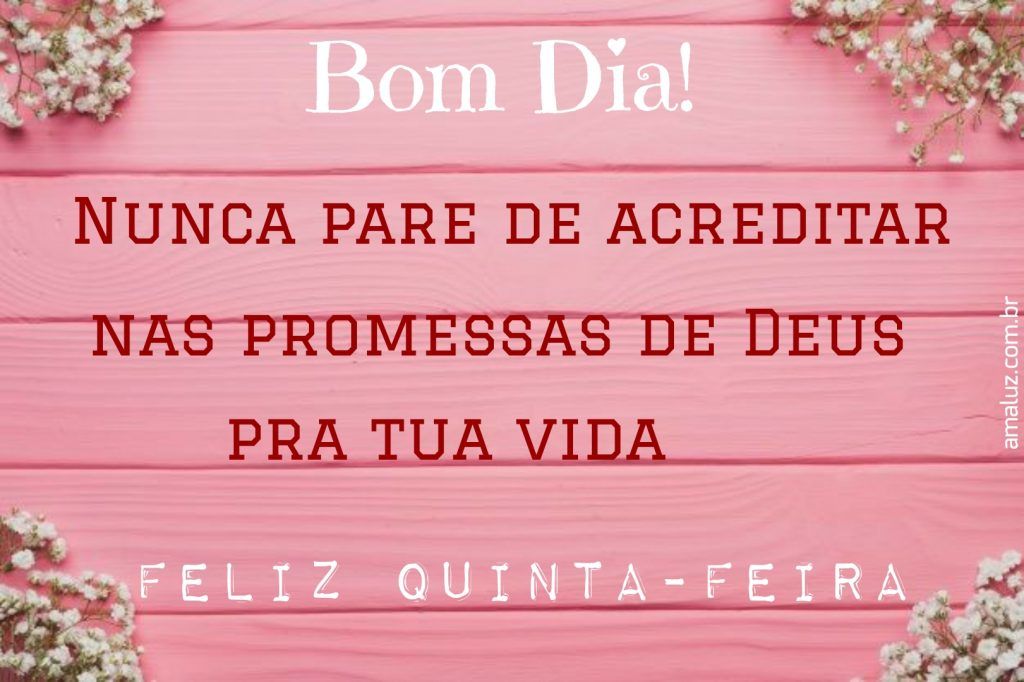 imagem rosa de bom dia e feliz quinta feira