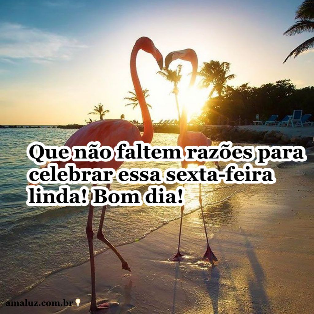 linda sexta feira bom dia
