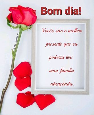 mensagem de boa dia com quadro e flor