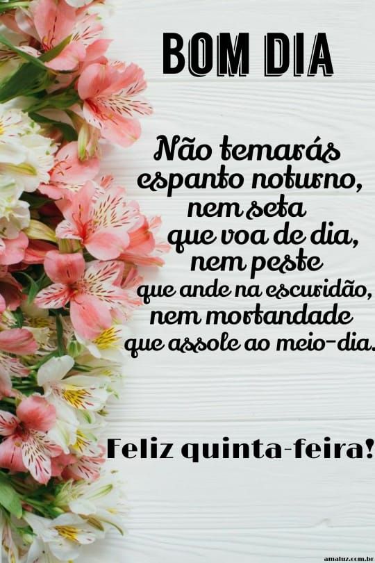 mensagens bonitas para whatsapp de bom dia e feliz quinta feira