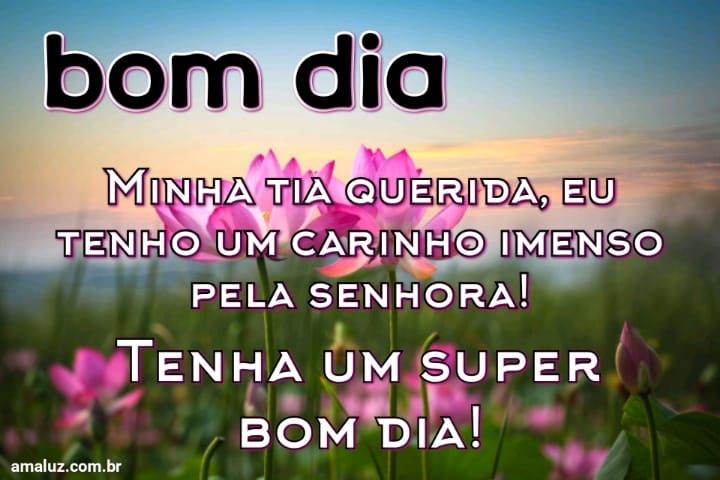 30 Imagens de Bom dia para Tia Amada com Mensagens fofuchas 30 Imagens de Bom dia para Tia Amada com Mensagens fofuchas