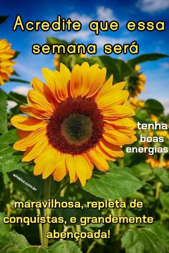 mensagens lindas e maravilhosas da semana
