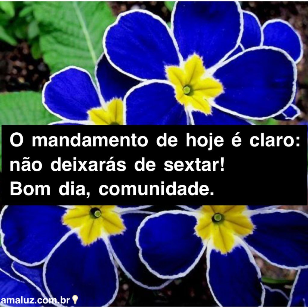 nao deixaras de sexta bom dia