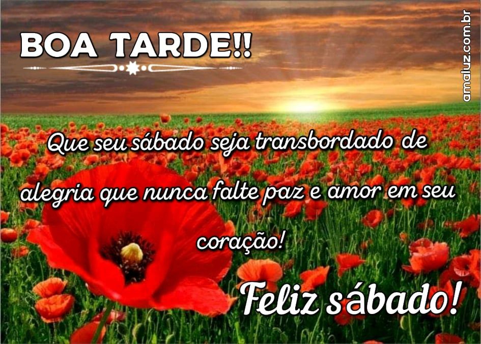 que não falta paz nessa tarde de sábado
