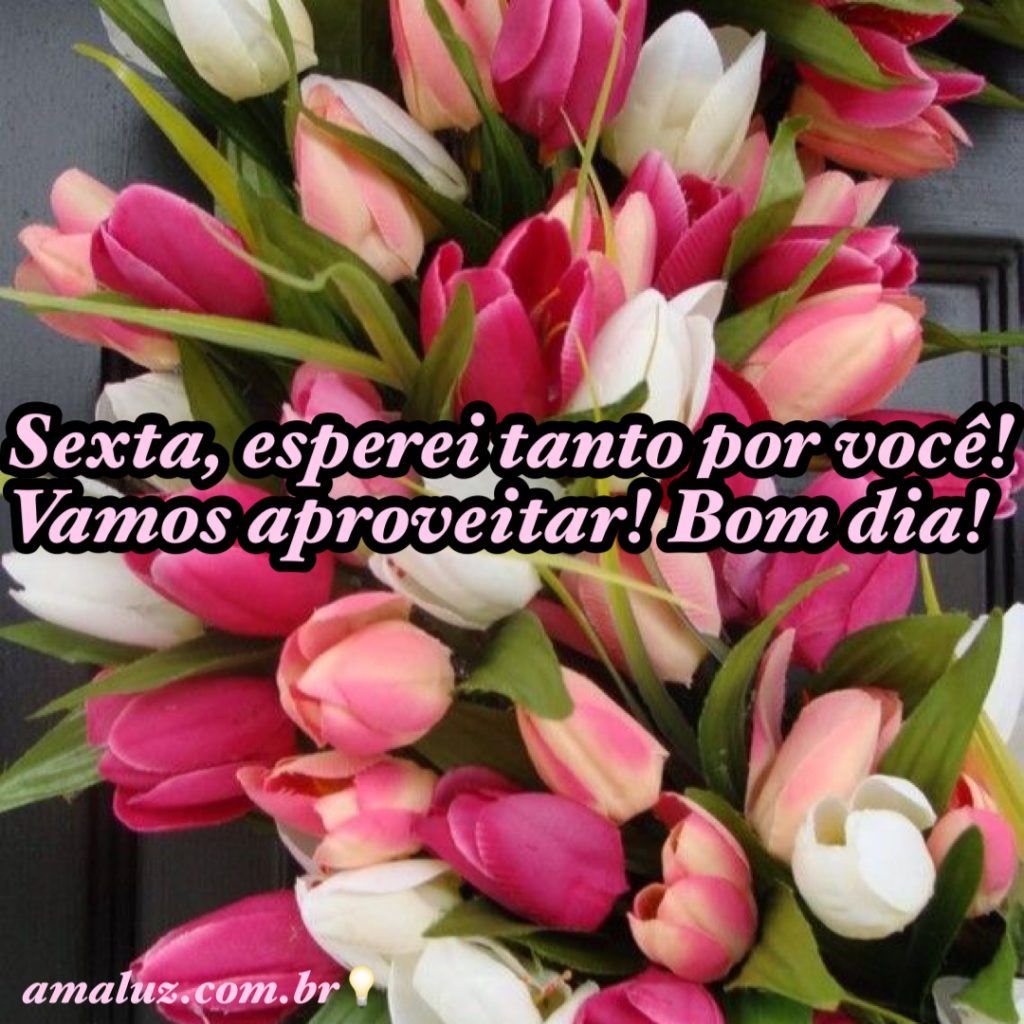 sexta feira vamos aproveita bom dia