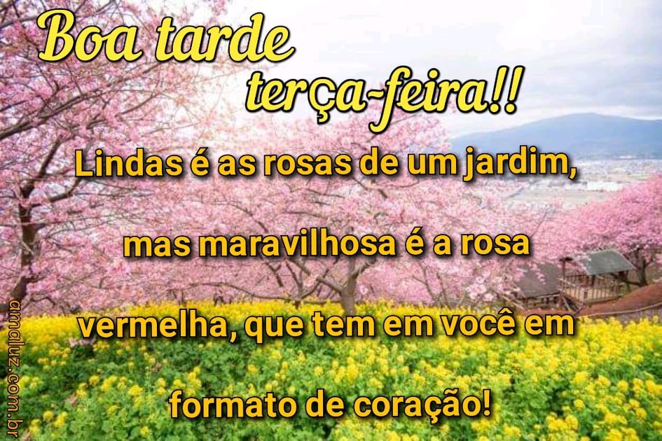 tenha uma boa tarde de terça feira para whatsapp