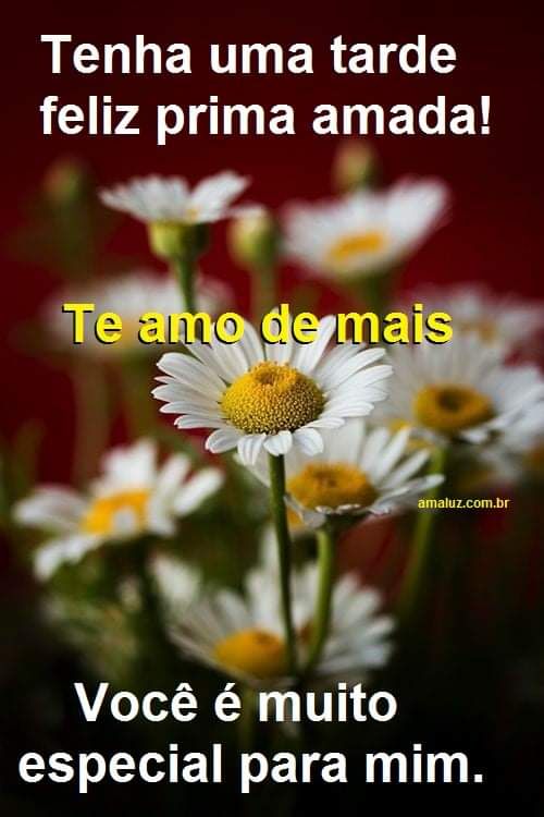 tenha uma boa tarde feliz minha prima