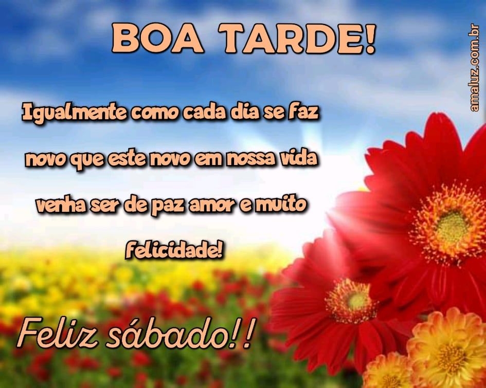 uma boa tarde e feliz sábado