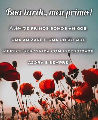 uma boa tarde para primo querido