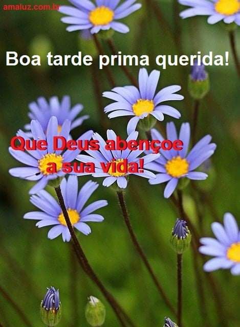 uma boa tarde prima querida