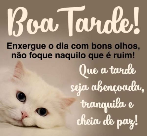 Boa tarde com carinho que o amor faça parte da sua tarde abençoada