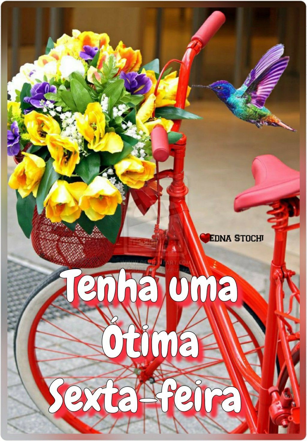 Boa tarde de sexta feira snop