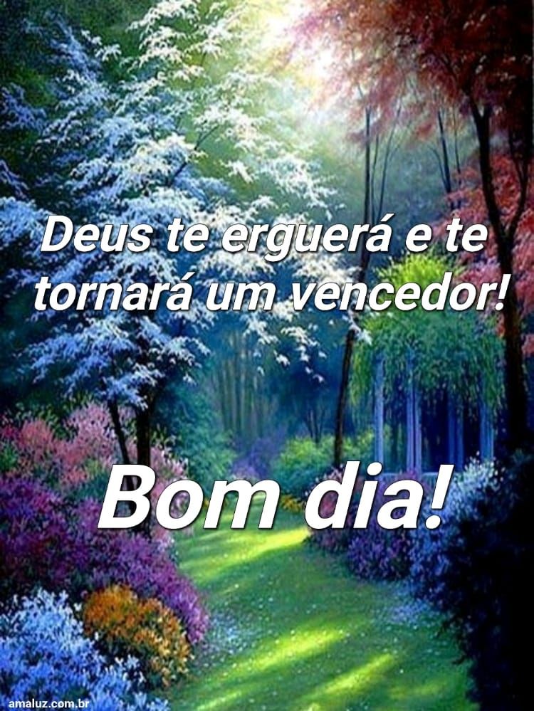 Bom dia, Deus te erguerá e te tornará um vencedor.