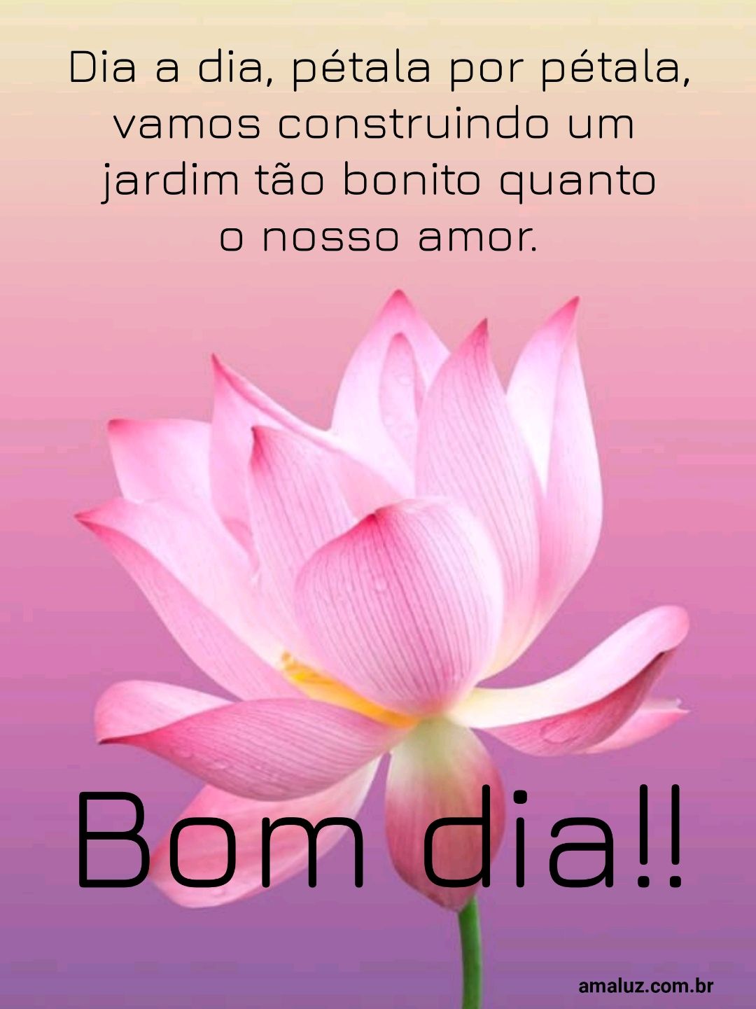 Bom dia, dia a dia, pétala por pétala.