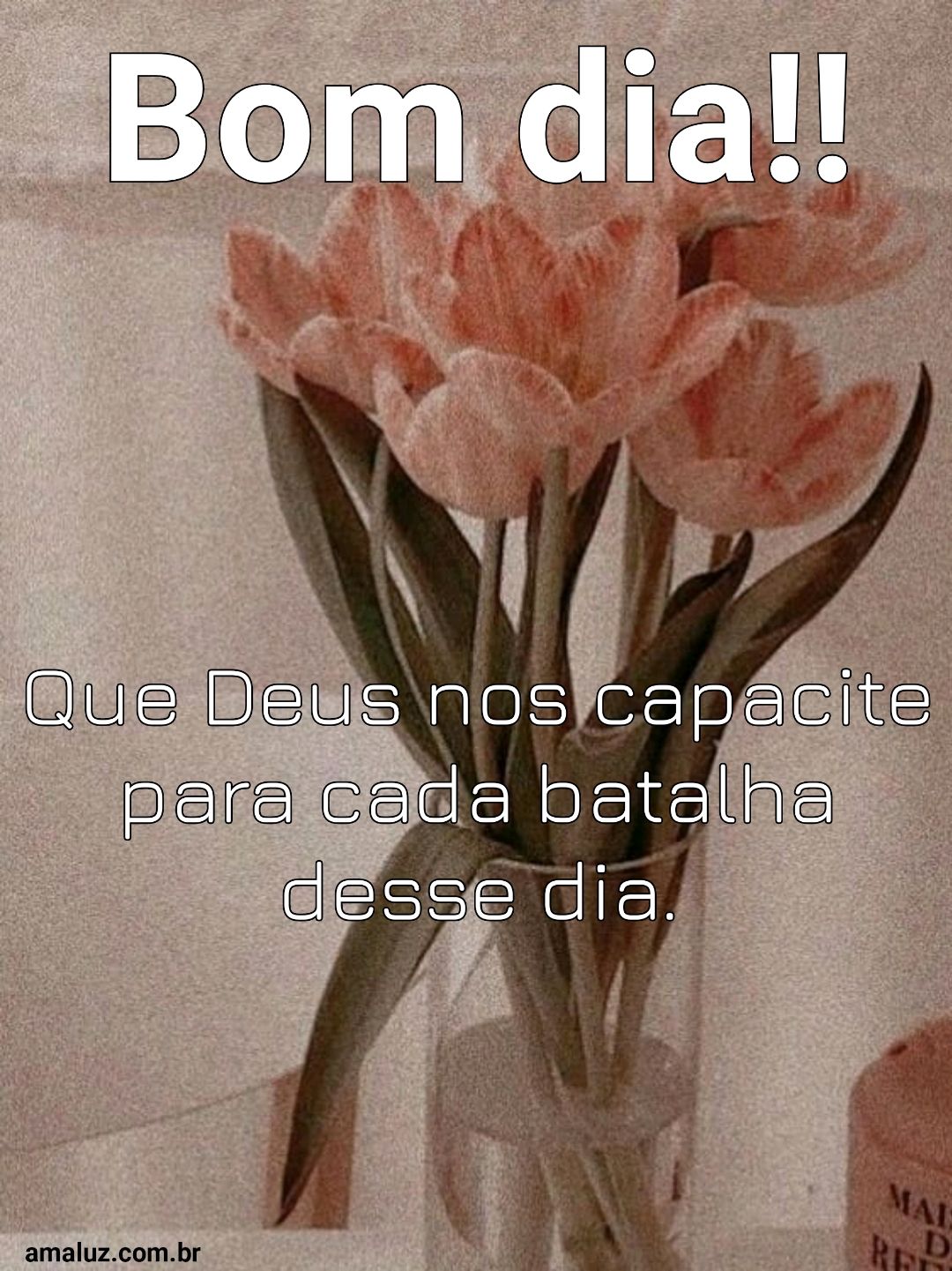 Bom dia, que Deus nos capacite...