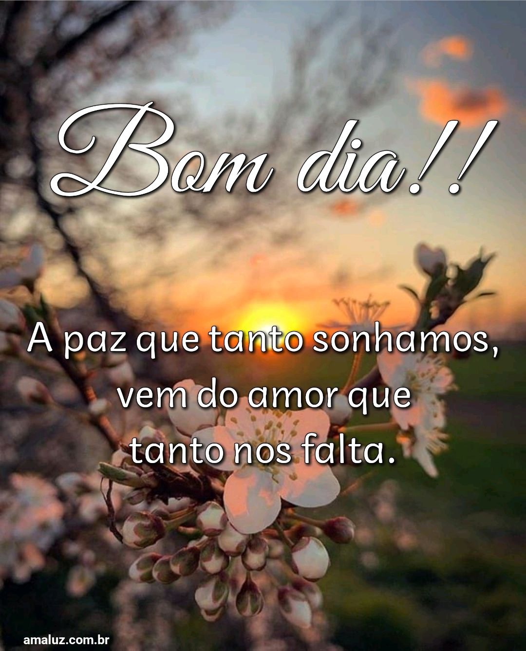 Bom Dia!!!  Frases e mensagens, Msg de bom dia, Mensagem de fé