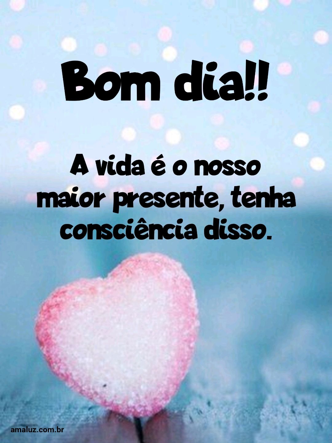 Bom dia, a vida é o nosso maior presente.