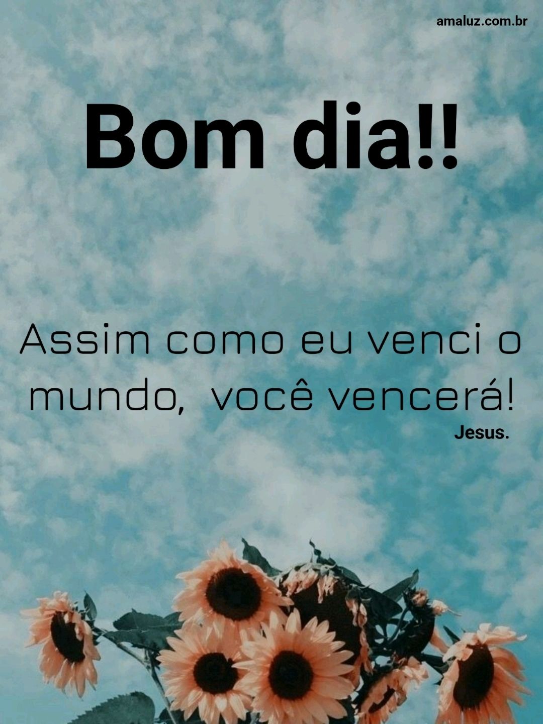 Bom dia assim como jesus venceu o mundo você também vencerá 