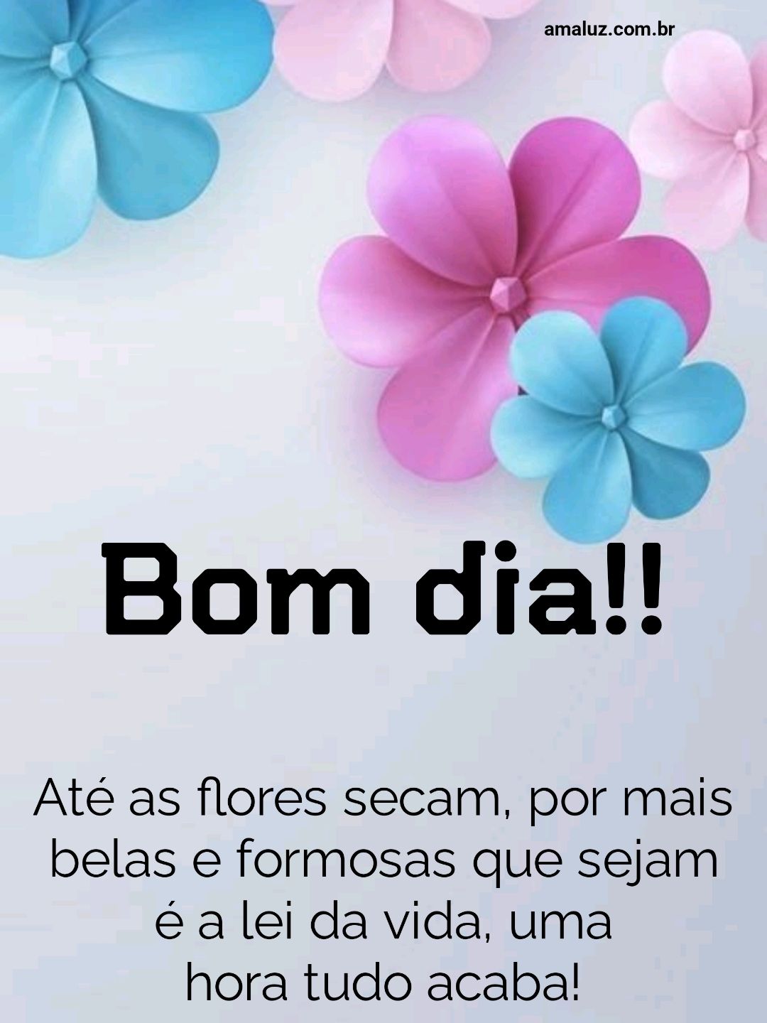 Bom Dia Bom Jardim - PE: Mensagem Feliz Bom Dia quinta-feira 01 de