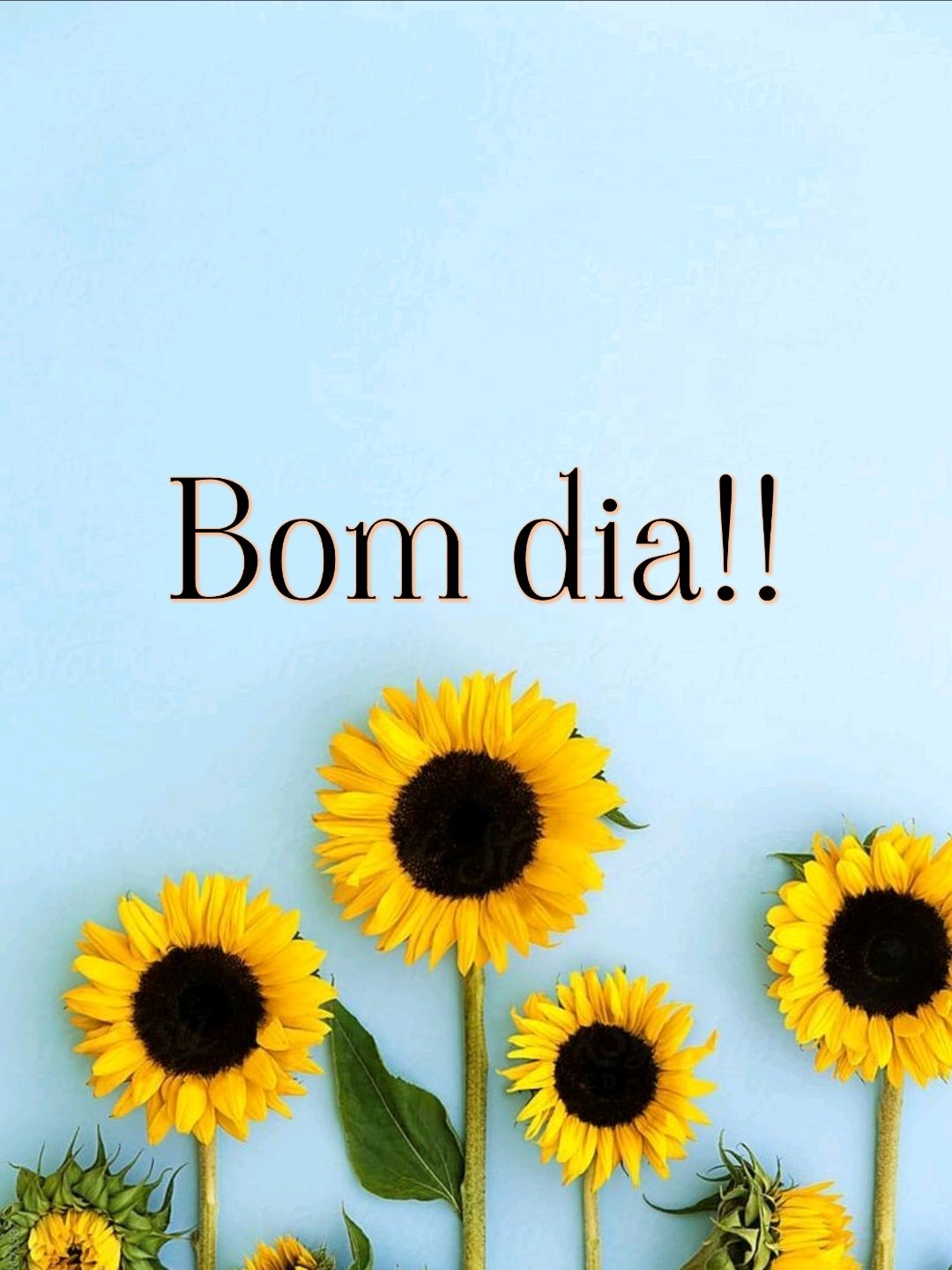 bom dia com girassol