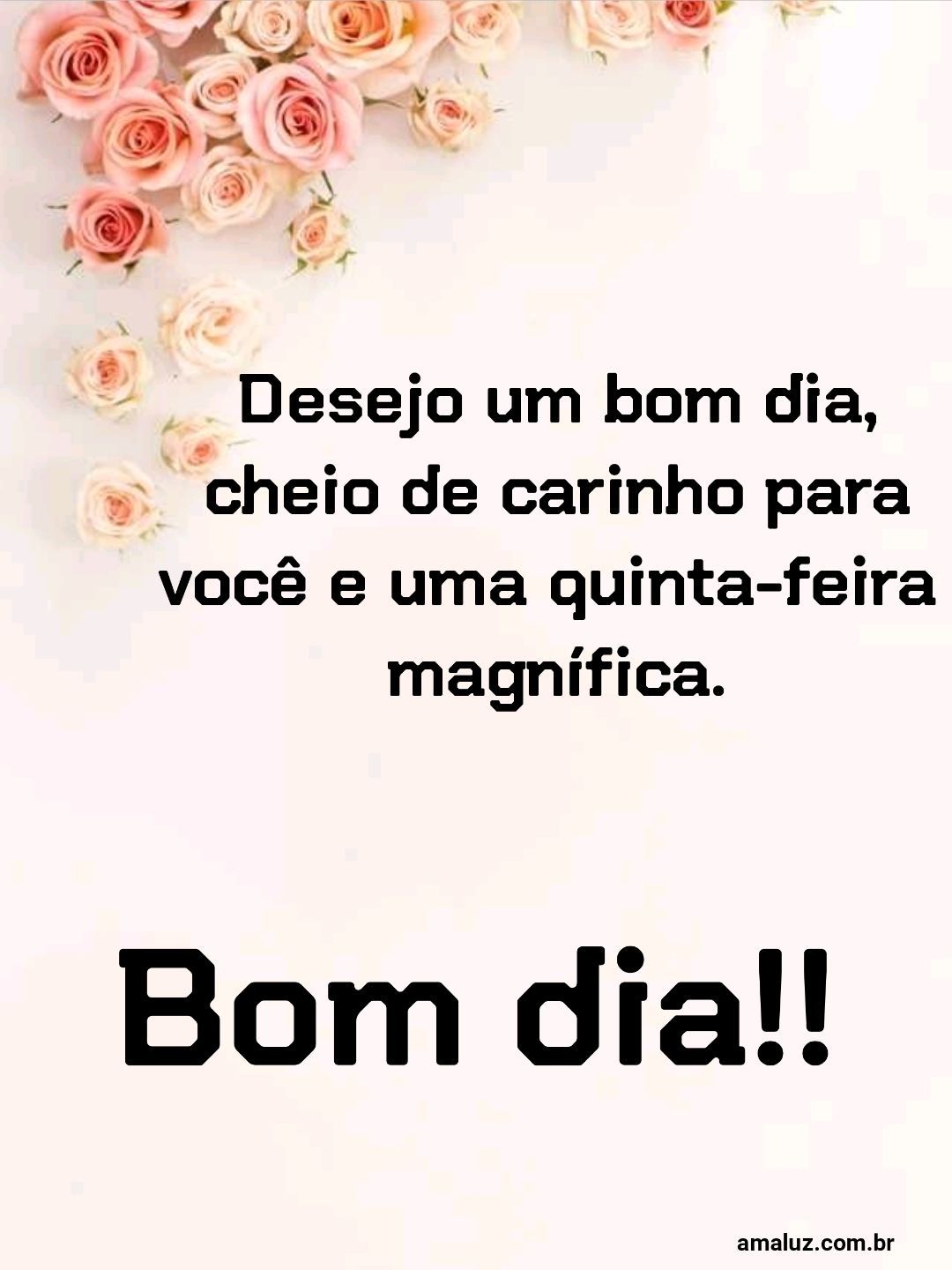 Bom dia desejo um bom dia cheio de carinho.
