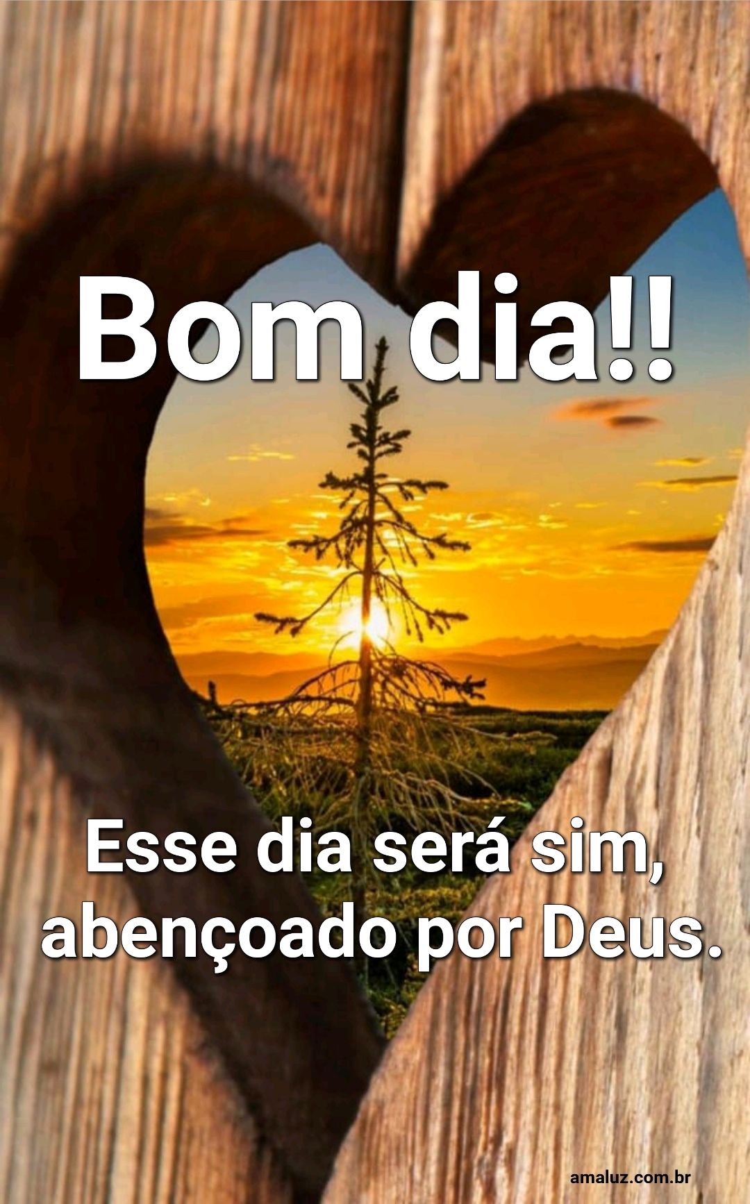 Bom dia esse dia será sim abençoado 