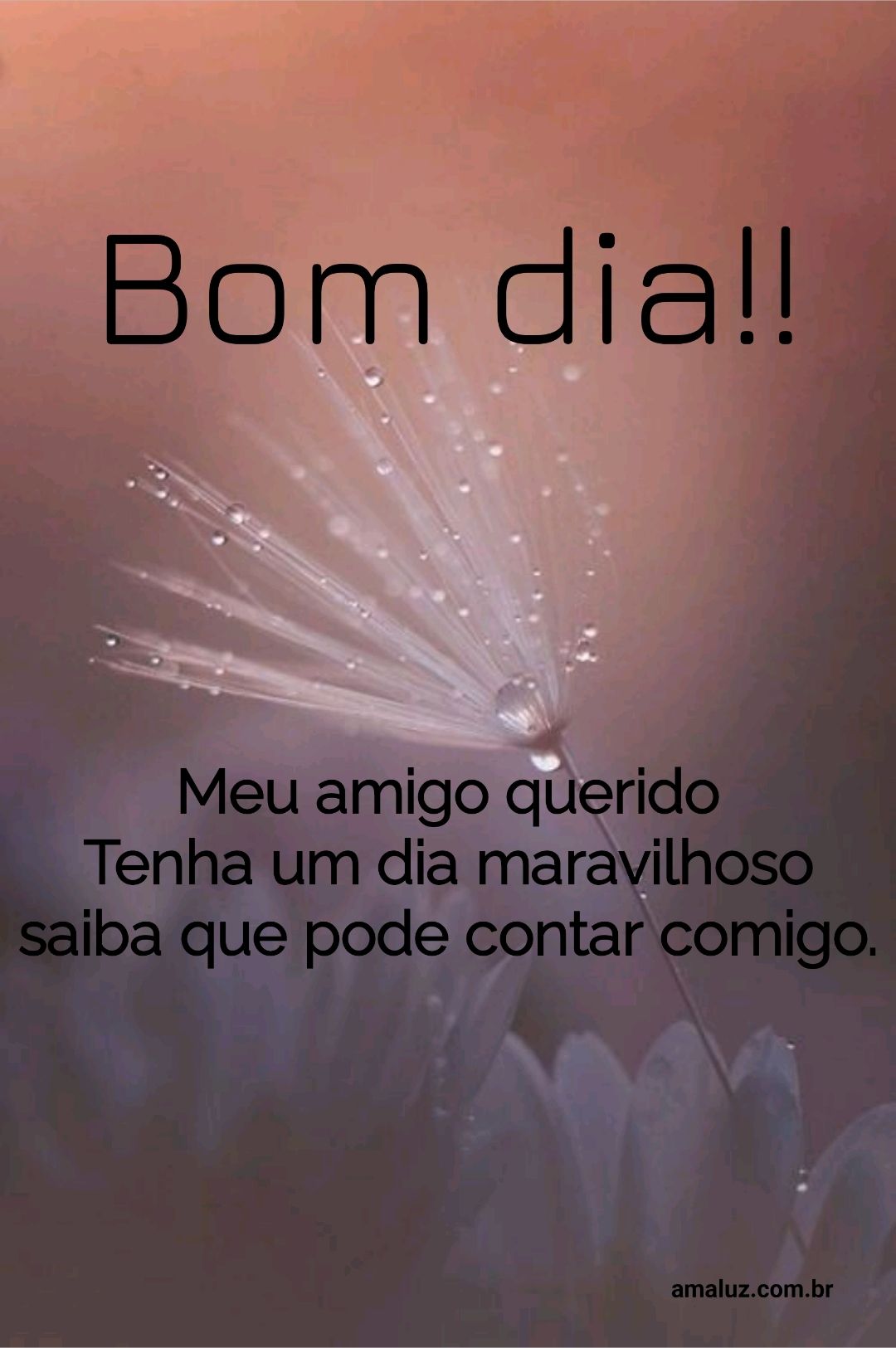 Bom dia meu amigo querido tenha um dia maravilhoso.