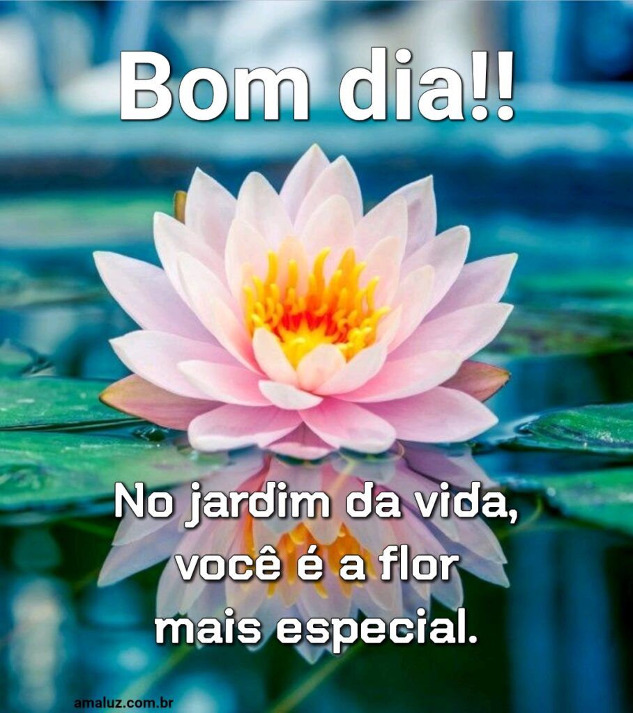 Bom dia, no jardim da vida você é a flor mais especial
