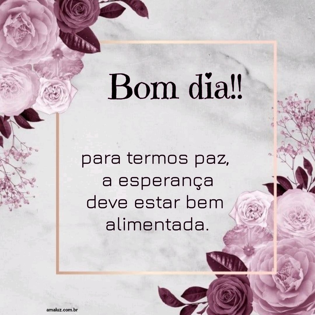 Bom dia para termos paz.