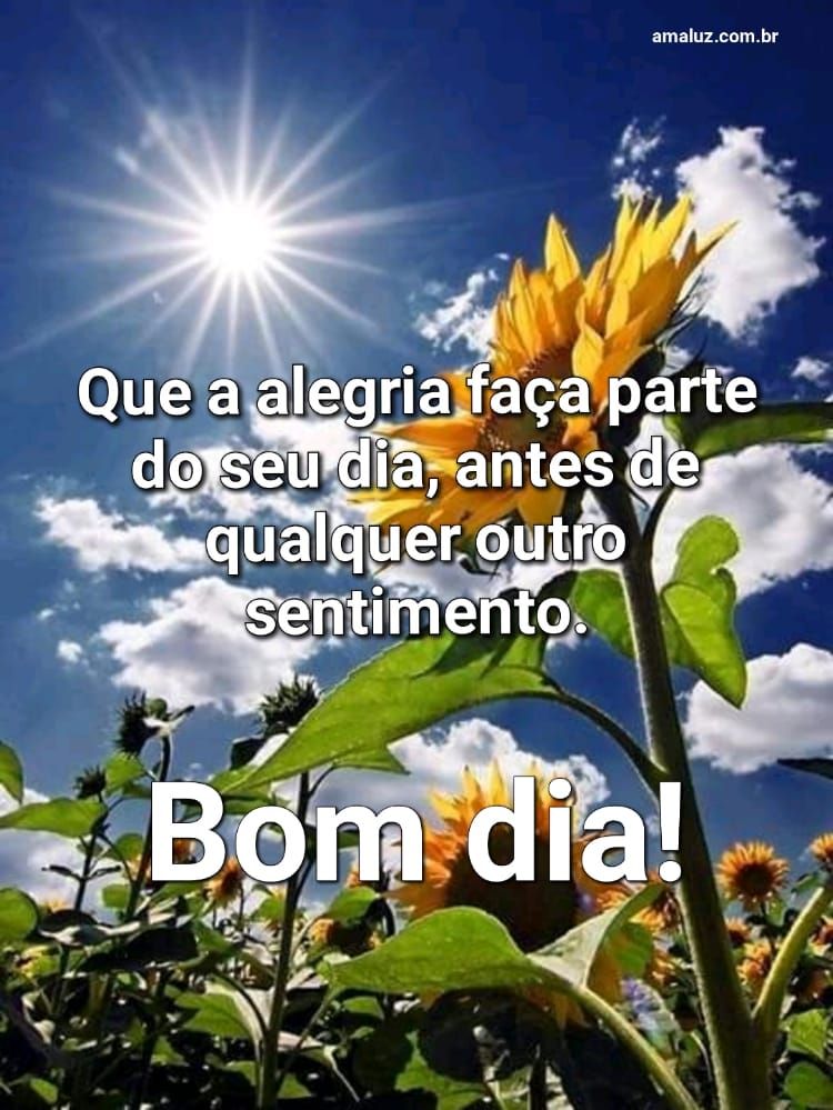 Bom dia, que a alegria faça parte do seu dia.