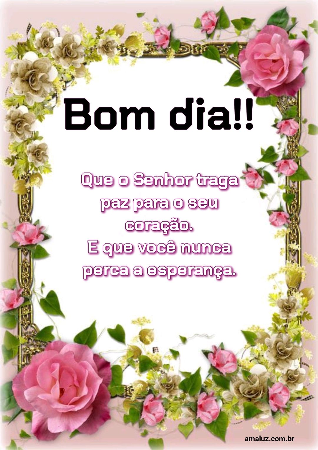 Bom dia, que o Senhor traga paz para o seu coração.