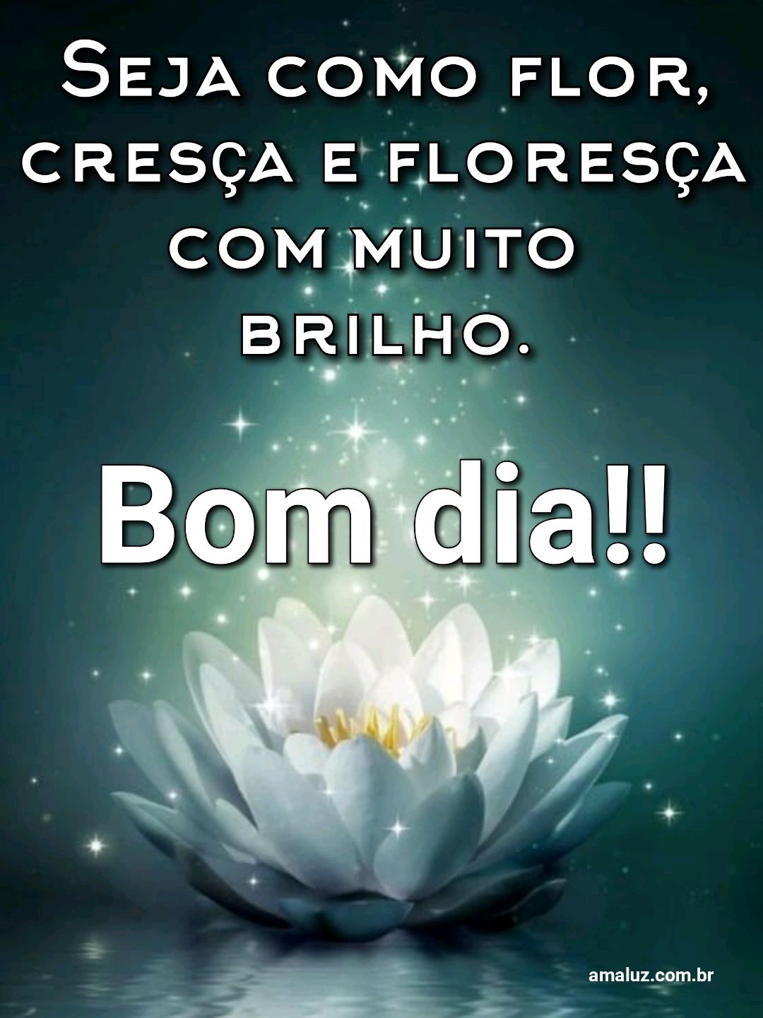 Bom dia, seja como flor, cresça e floresça.