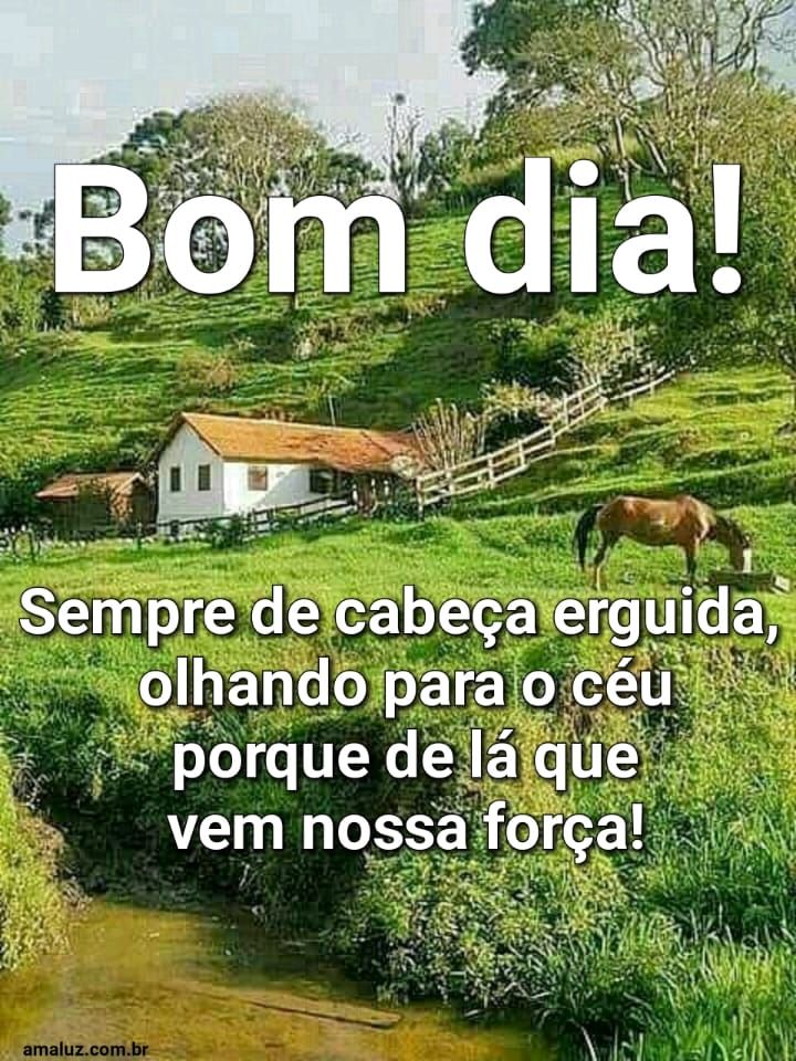 30 Mensagens de bom dia terça-feira com flores para whatsapp 30 Mensagens de bom dia terça-feira com flores para whatsapp