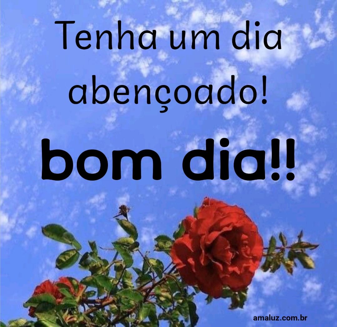 39 Lindas Imagens De Bom Dia Com Frases E Gifs Especiais Para Seu Dia Dia