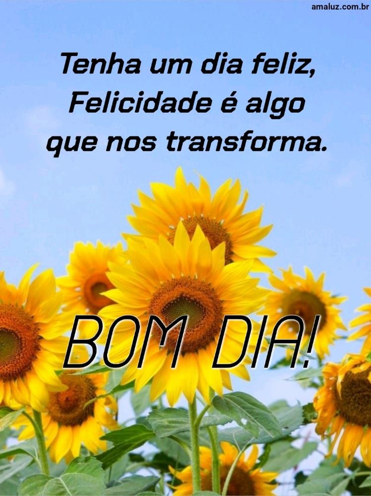Bom dia, tenha um dia feliz.