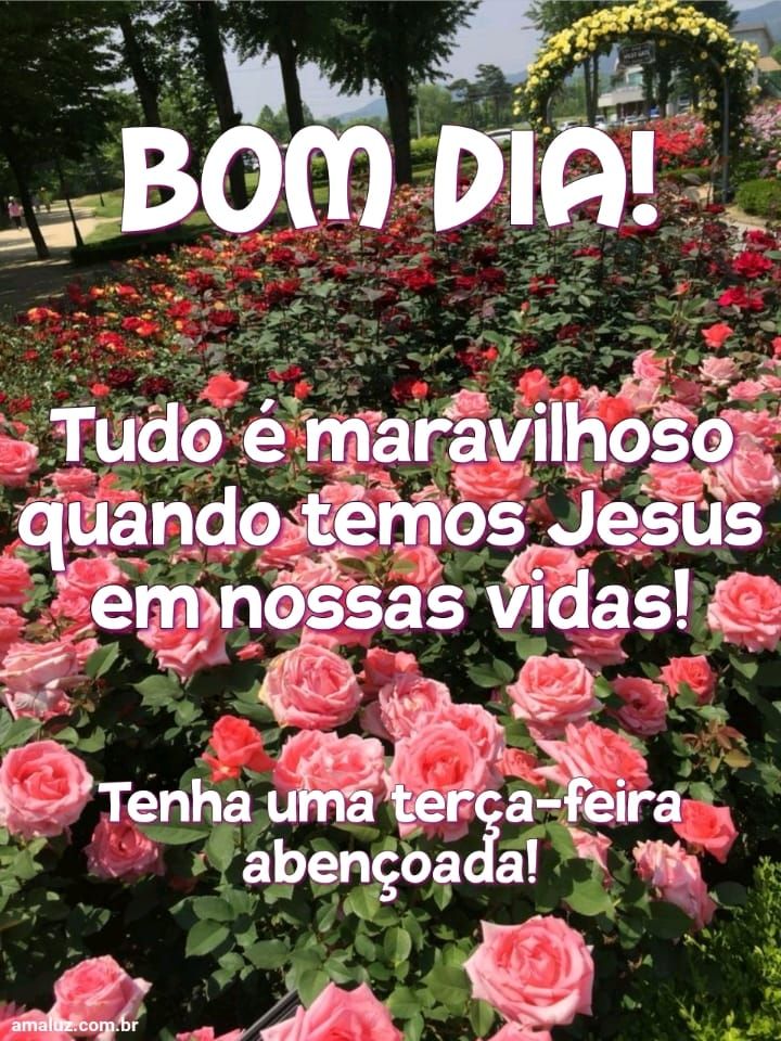 Bom dia tudo e maravilhoso quando temos Jesus 