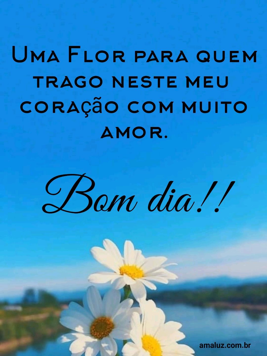 Bom dia, uma flor para quem trago...