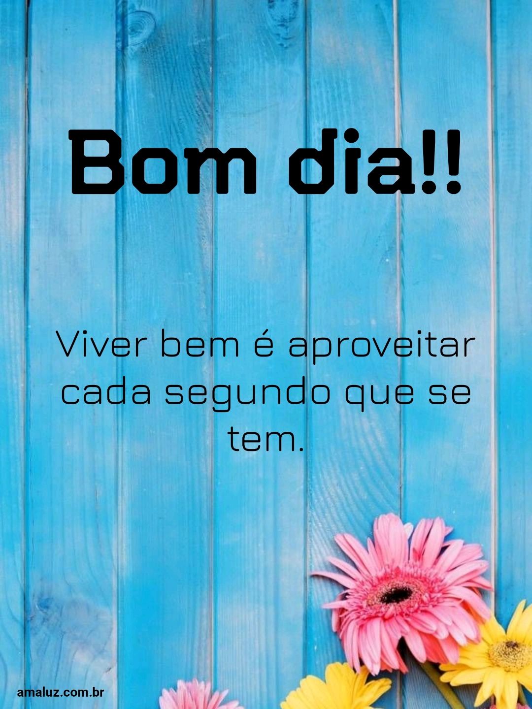 Bom dia viver bem e aproveitar cada segundo