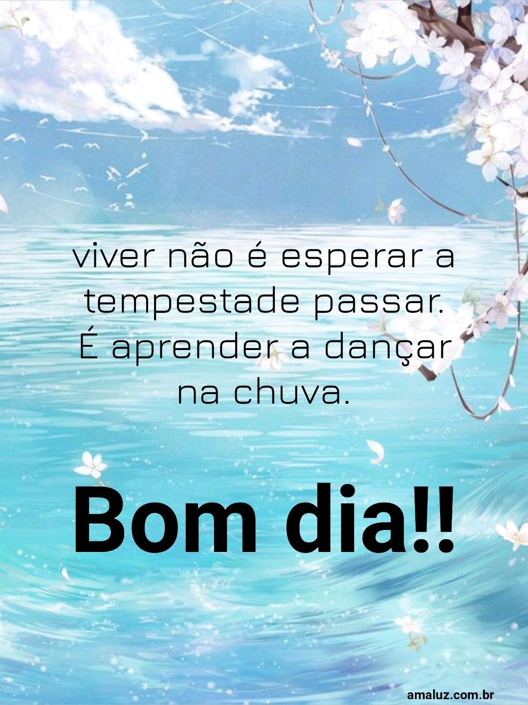Bom dia viver não e esperar a tempestade passar