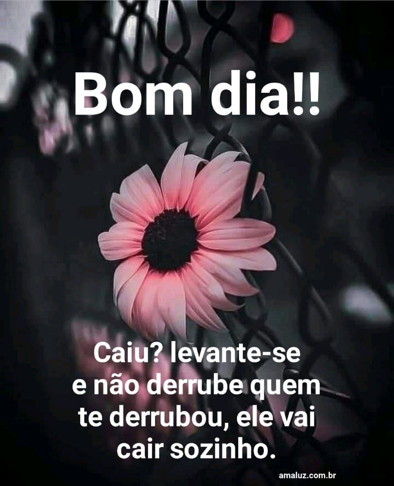 Caiu levante-se bom dia