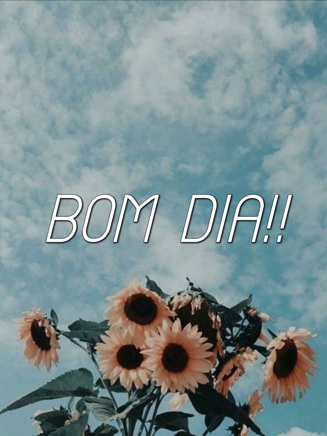 flores crie seu bom dia