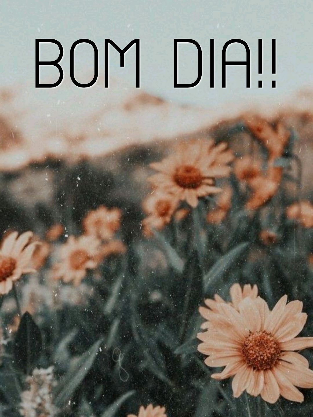 flores crie seu próprio bom dia