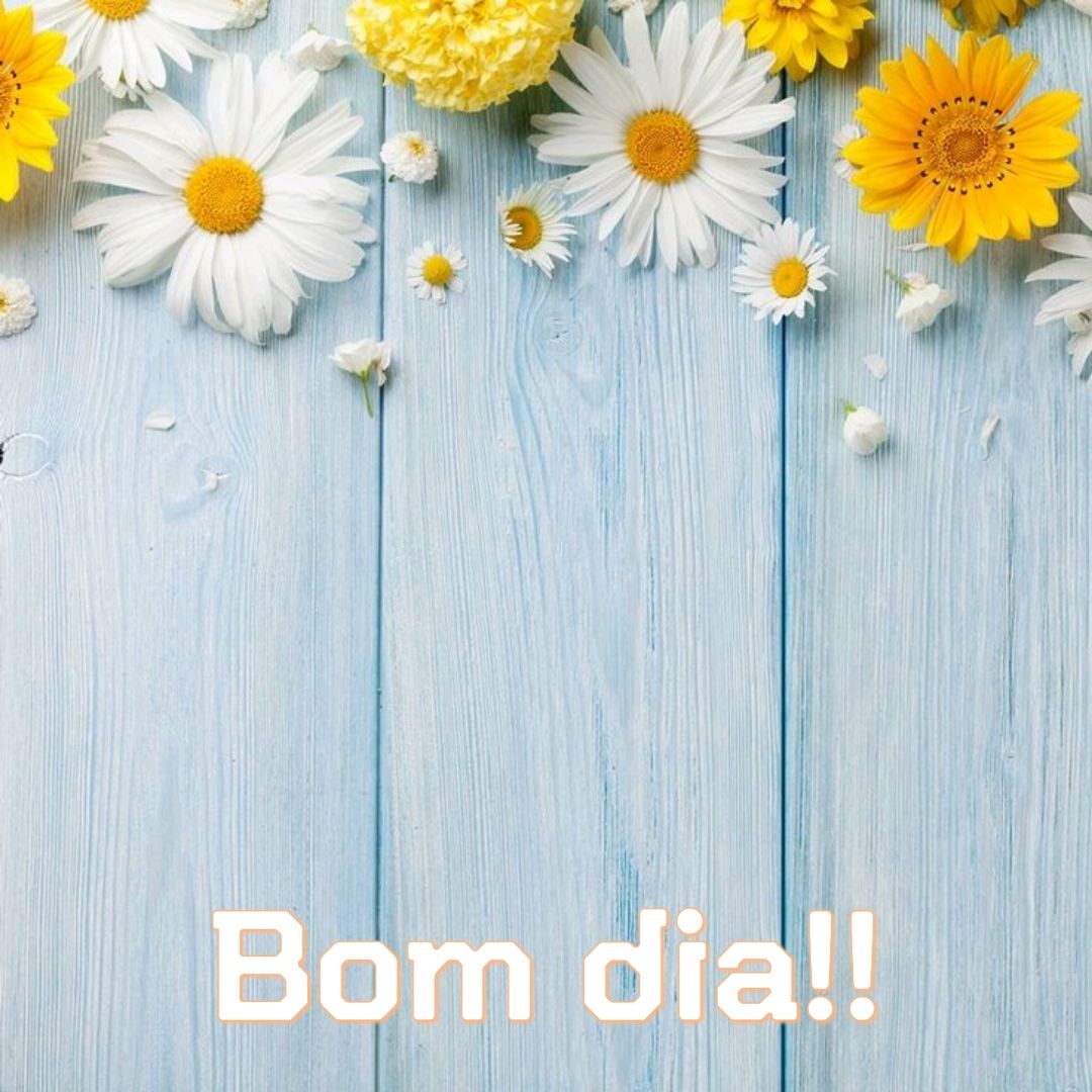  Com flores crie sua mensagem de bom dia